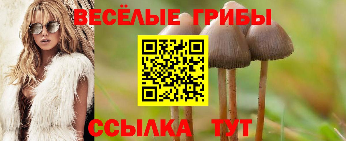 Галлюциногенные грибы MAGIC MUSHROOMS  продажа наркотиков  Вход с VPN  Бирск  Псилоцибиновые грибы ЛСД 